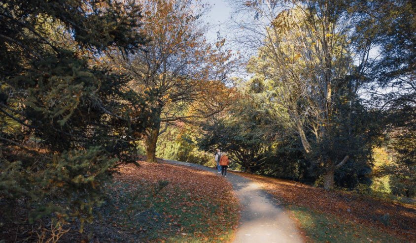 Pirianda Garden, Australia